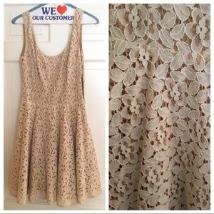 Paper Crown Lace Dress - Lauren Conrad